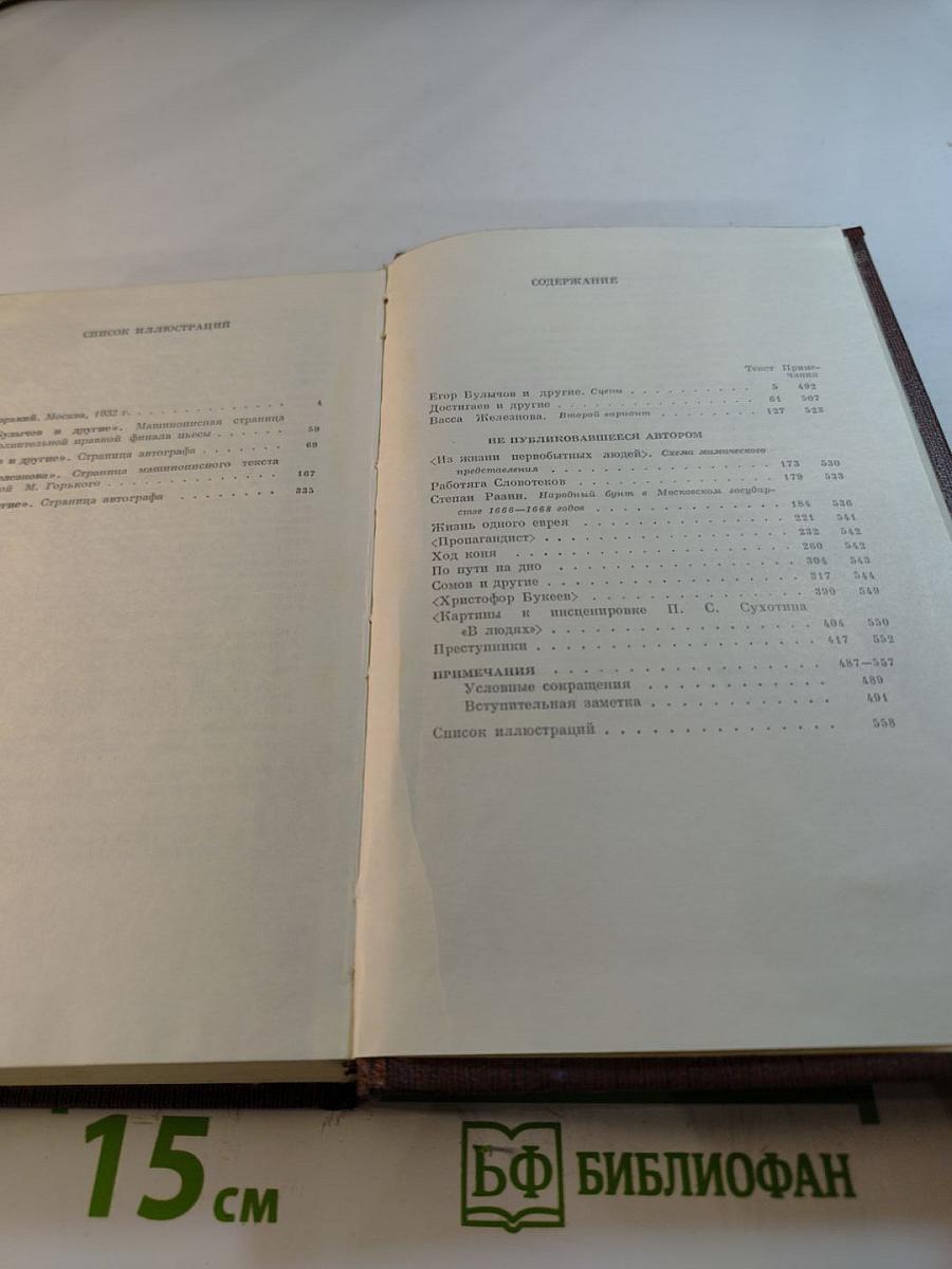 Полное собрание сочинений. Художественные произведения в 25-ти томах. Том 19