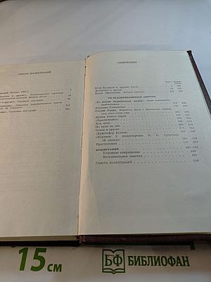 Полное собрание сочинений. Художественные произведения в 25-ти томах. Том 19