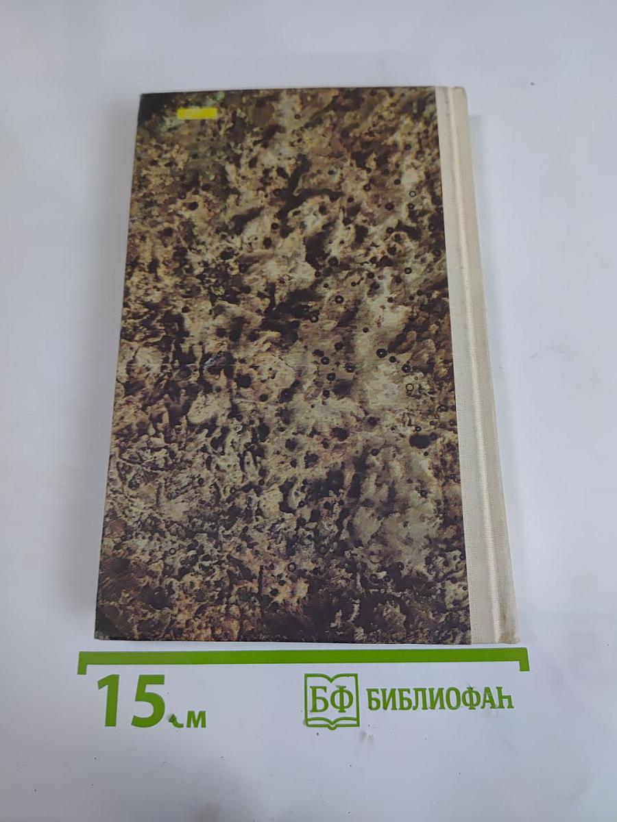 Исторические романы. Часть I: Любовь опричника