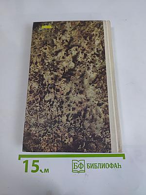 Исторические романы. Часть I: Любовь опричника