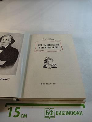 Чернышевский в Петербурге