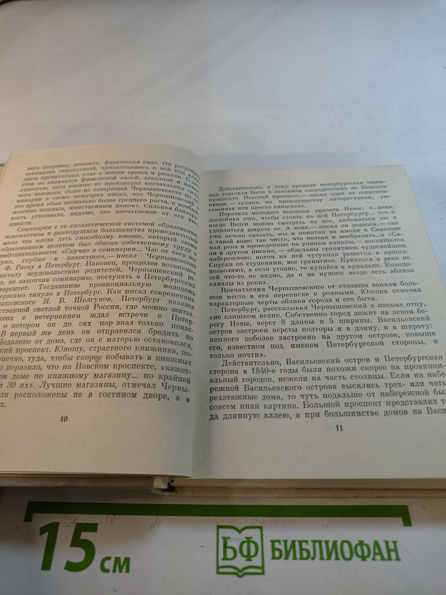 Чернышевский в Петербурге