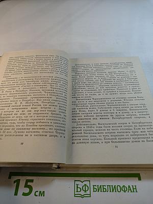 Чернышевский в Петербурге