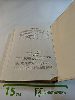 Чернышевский в Петербурге