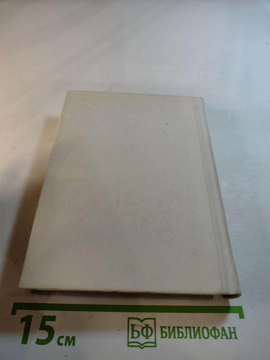 Чернышевский в Петербурге