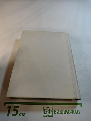 Чернышевский в Петербурге