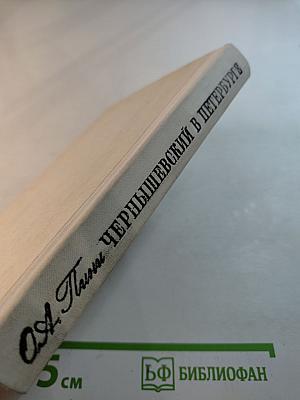 Чернышевский в Петербурге