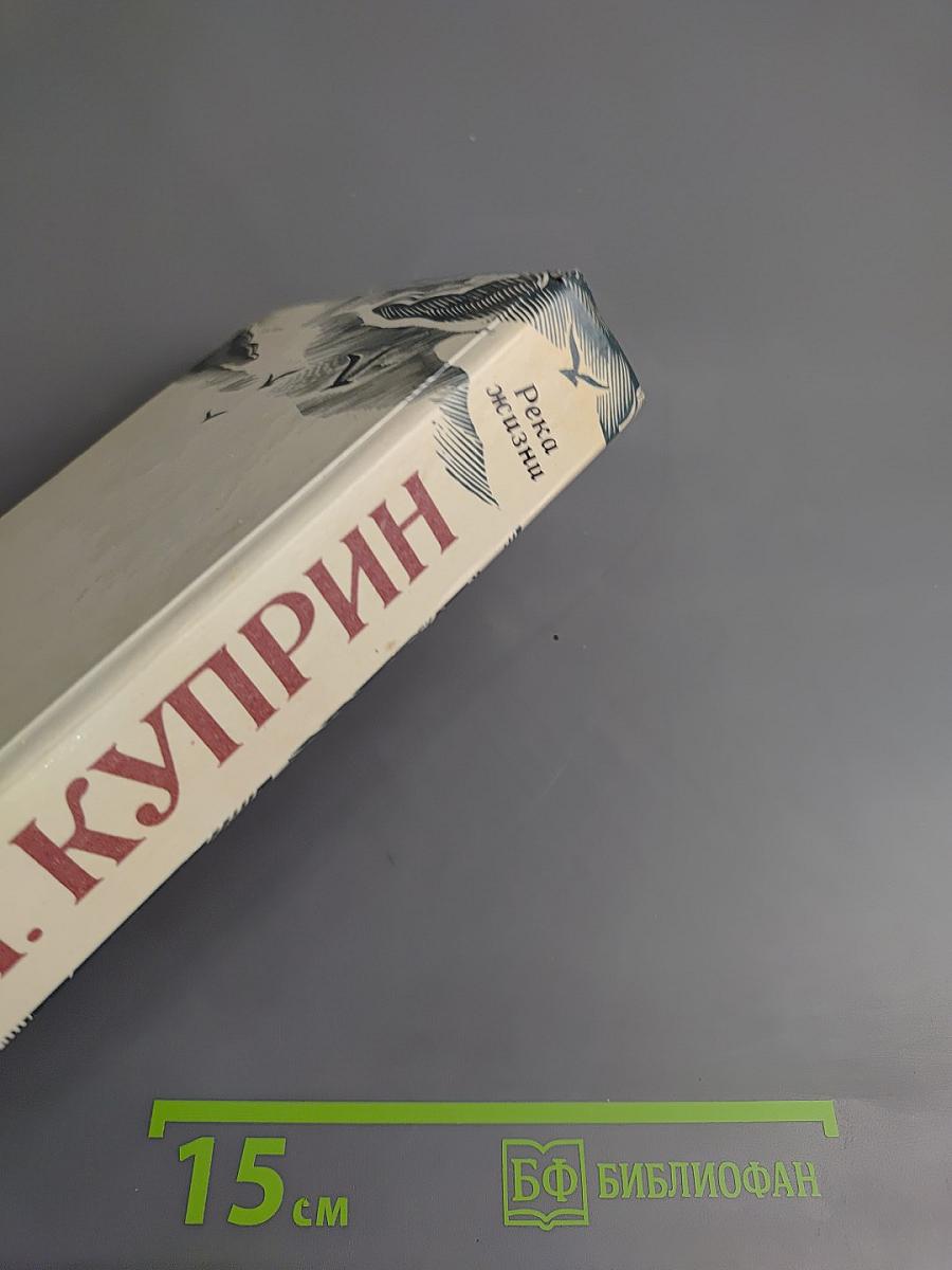 Река жизни: Повести и рассказы