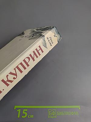 Река жизни: Повести и рассказы