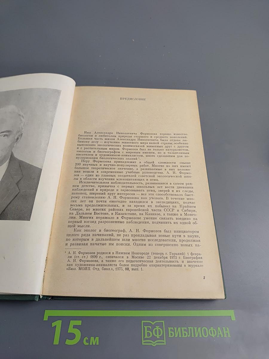 Звери, птицы и их взаимосвязи со средой обитания