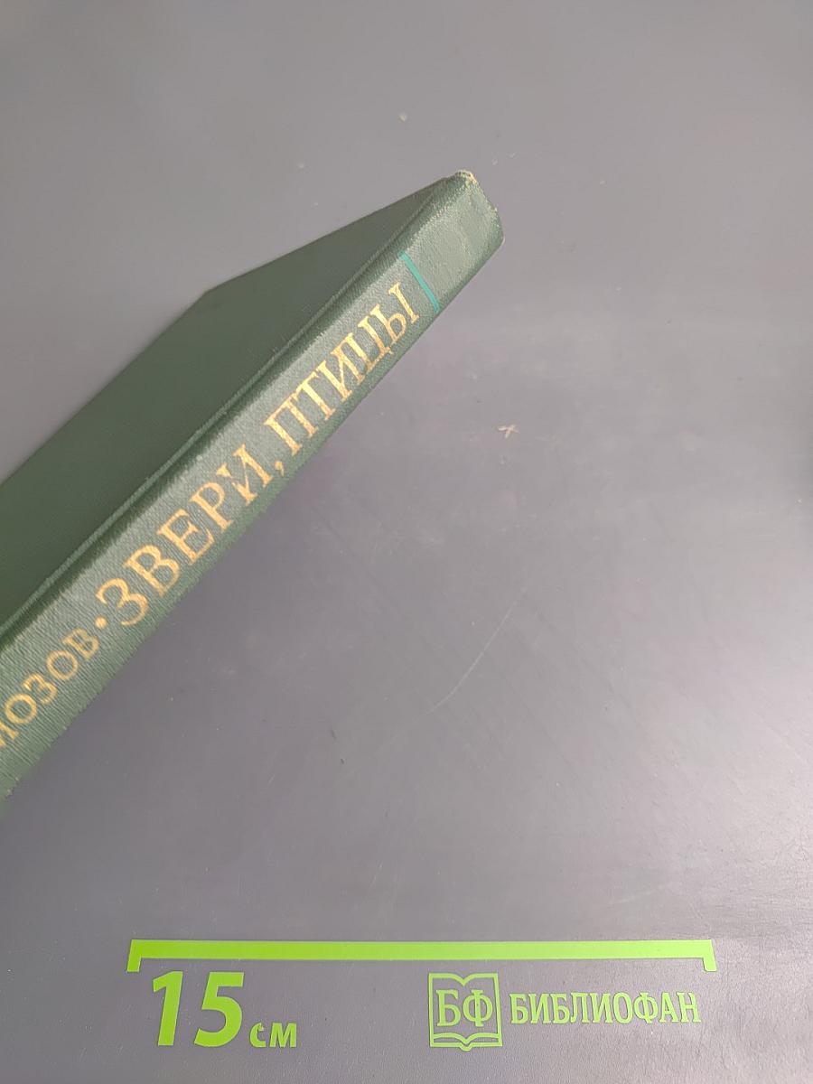 Звери, птицы и их взаимосвязи со средой обитания