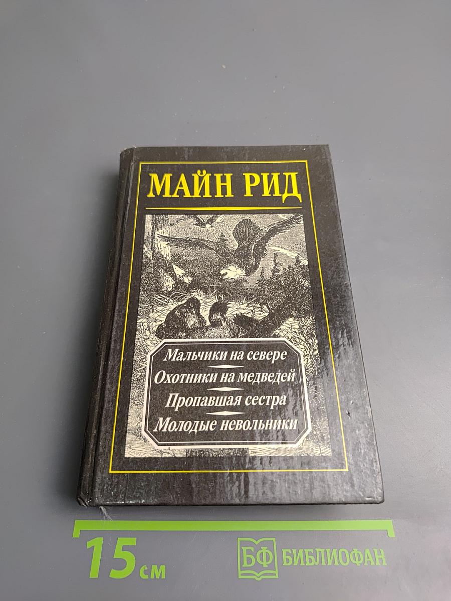 Мальчики на севере. Охотники на медведей. Пропавшая сестра. Молодые невольники