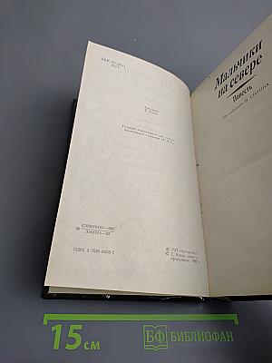 Мальчики на севере. Охотники на медведей. Пропавшая сестра. Молодые невольники