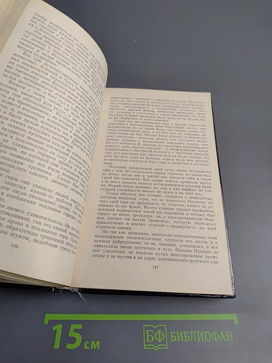 Мальчики на севере. Охотники на медведей. Пропавшая сестра. Молодые невольники