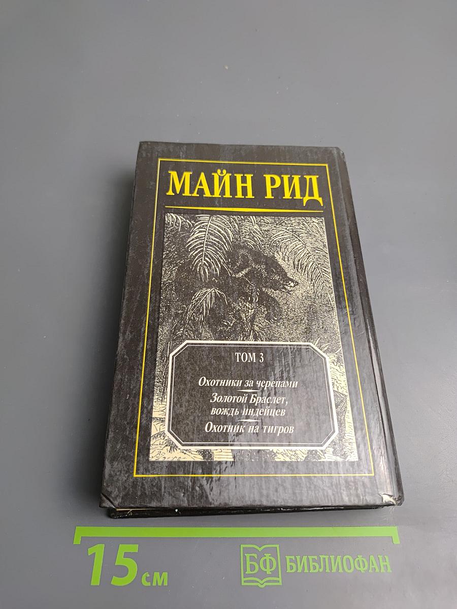 Мальчики на севере. Охотники на медведей. Пропавшая сестра. Молодые невольники