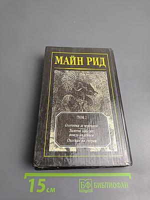 Мальчики на севере. Охотники на медведей. Пропавшая сестра. Молодые невольники