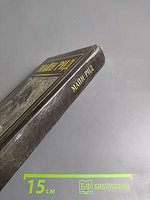 Мальчики на севере. Охотники на медведей. Пропавшая сестра. Молодые невольники