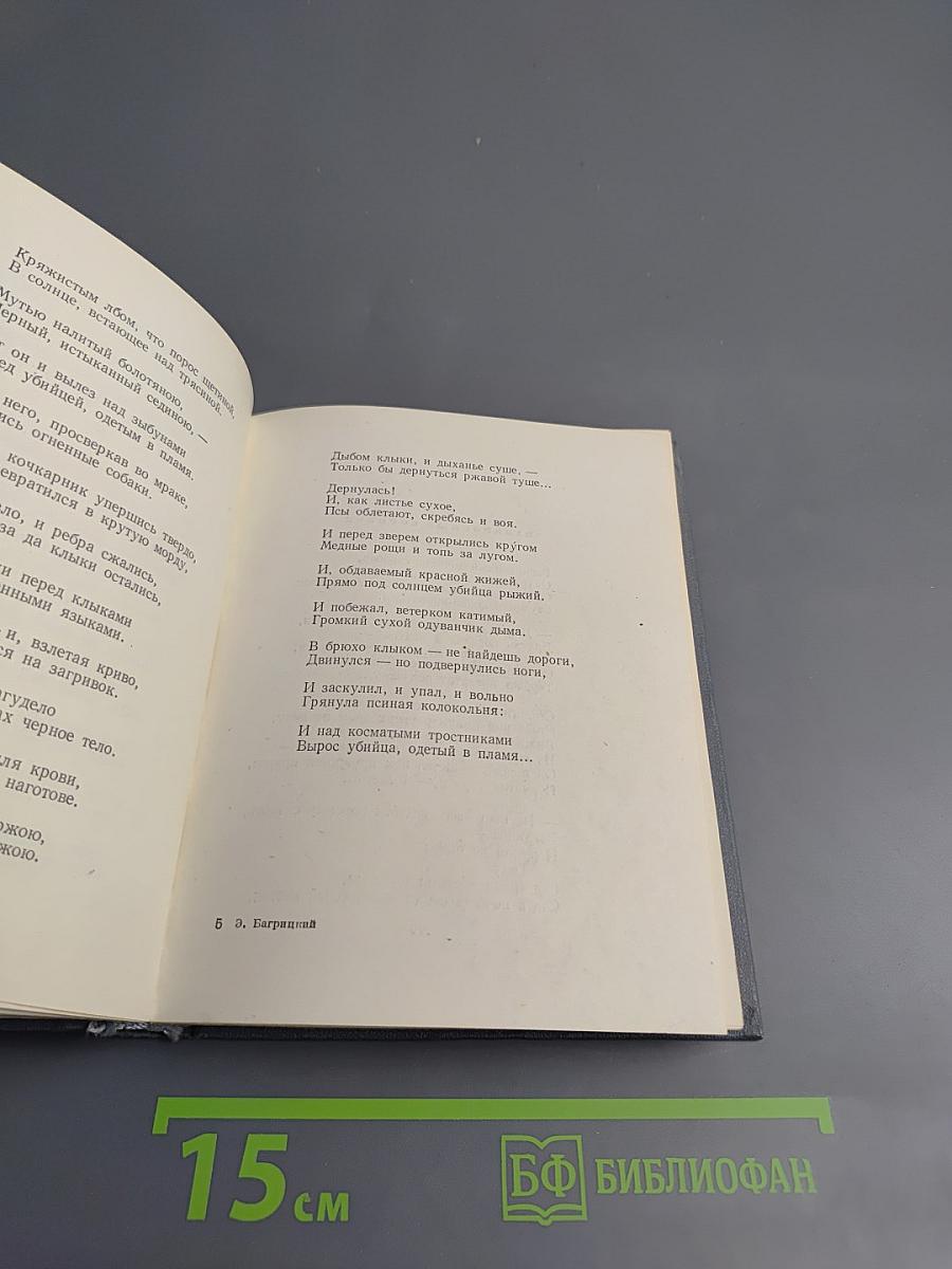 Эдуард Багрицкий. Стихи и поэмы