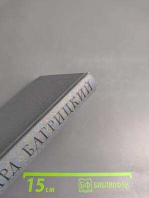 Эдуард Багрицкий. Стихи и поэмы