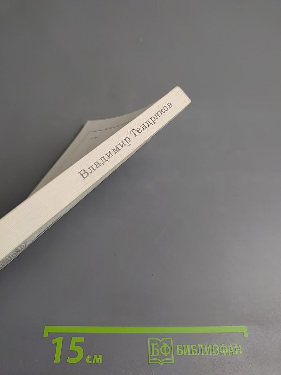 Покушение на миражи. Чистые воды Китежа