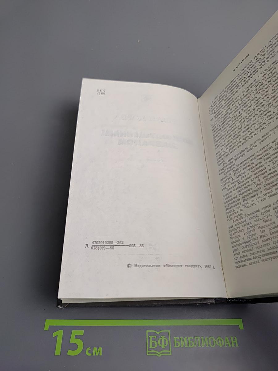 Под опущенным забралом