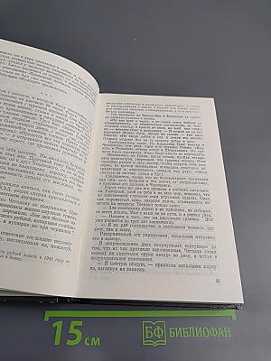 Под опущенным забралом