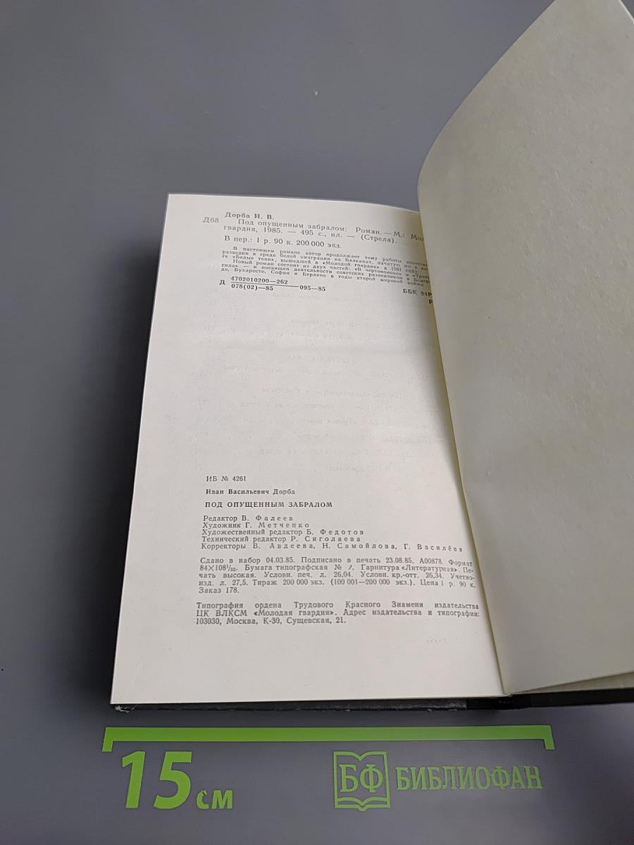 Под опущенным забралом