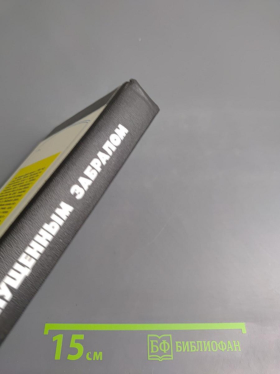 Под опущенным забралом