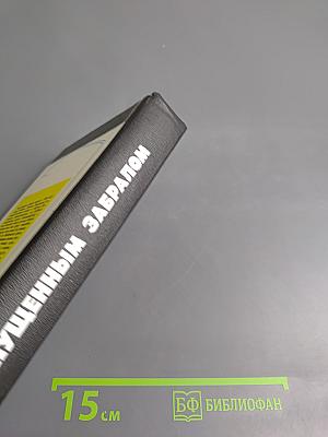 Под опущенным забралом