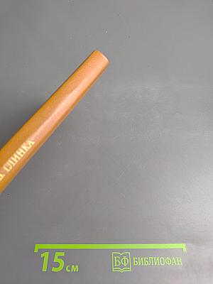 Пушкин и Военная галерея Зимнего дворца