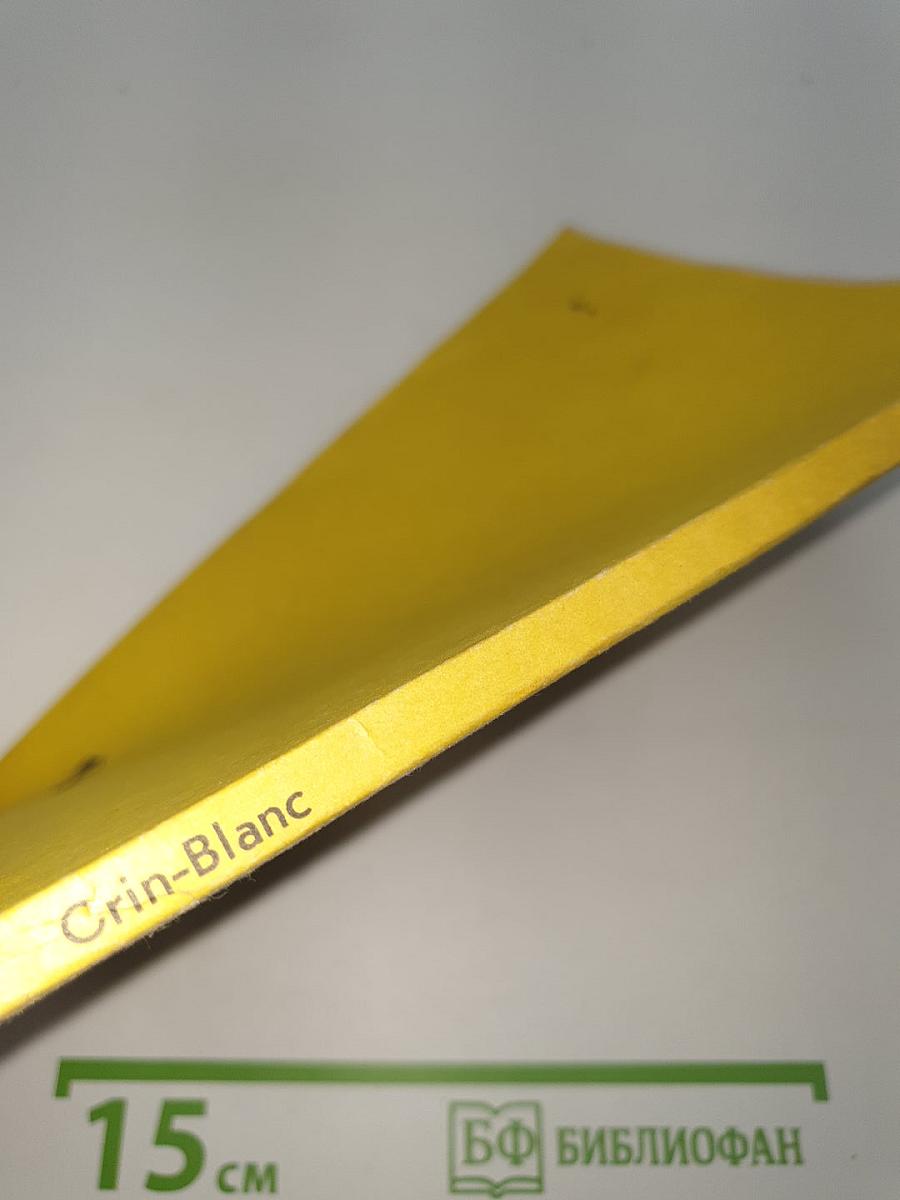 Crin-Blanc