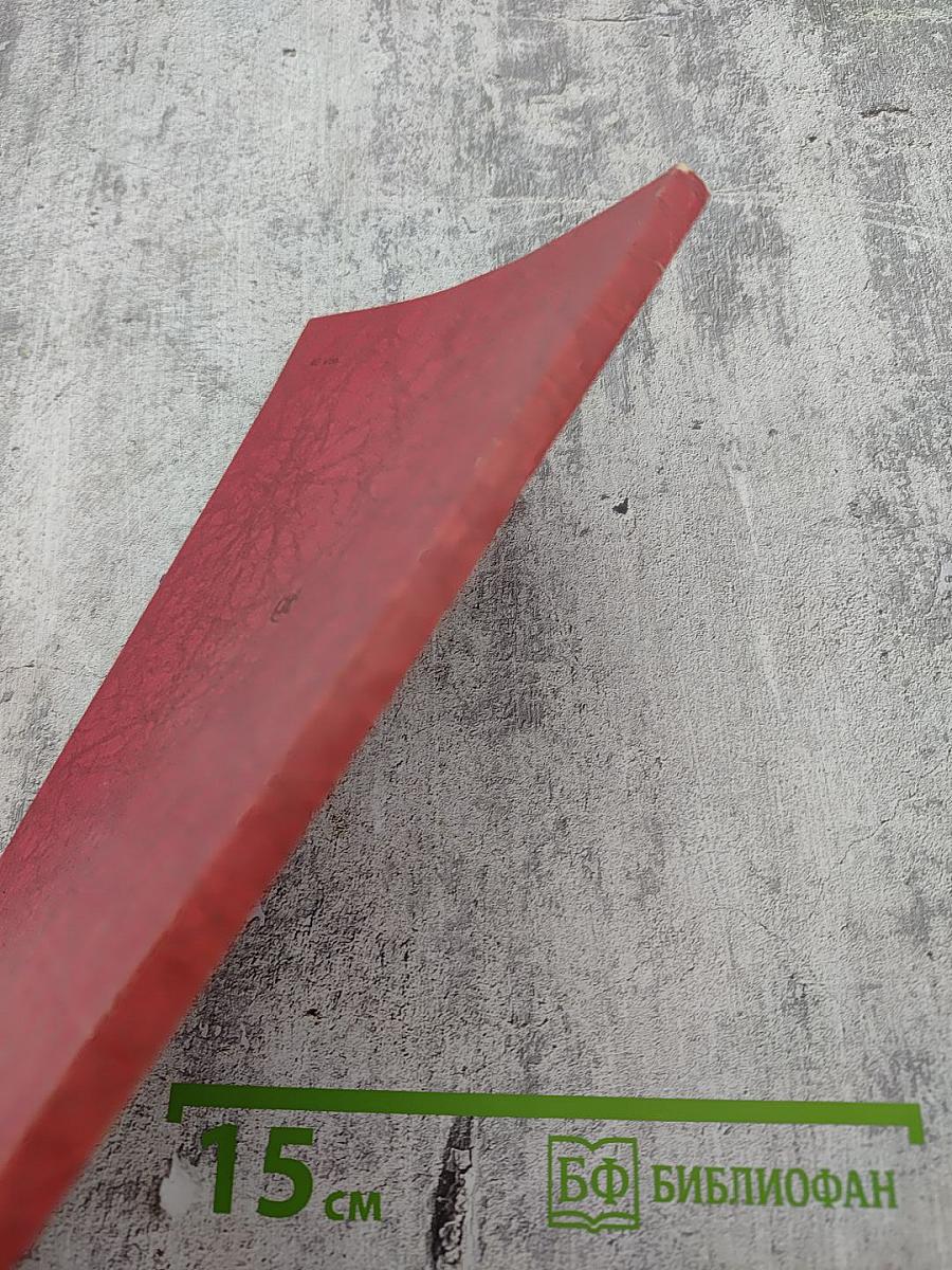 День России