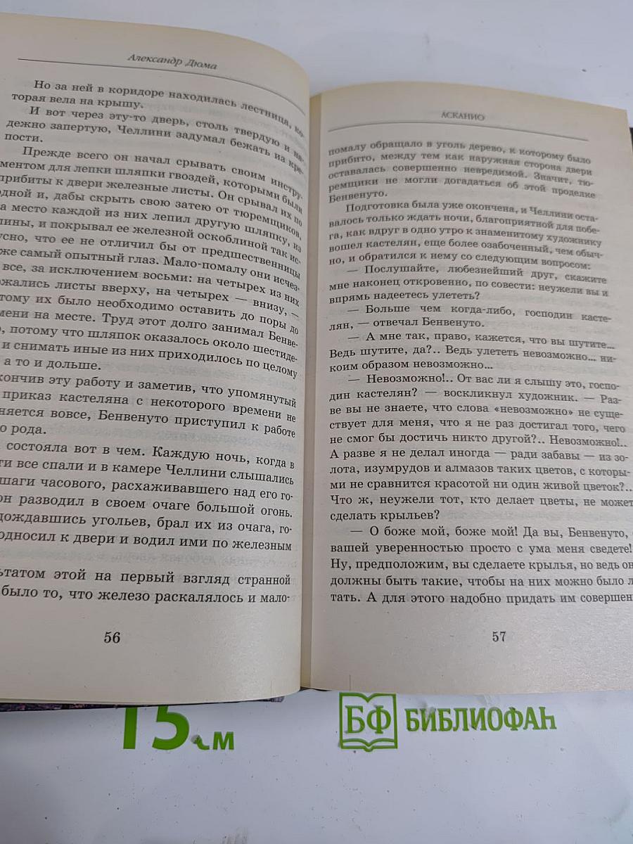 Асканио. Книга 1