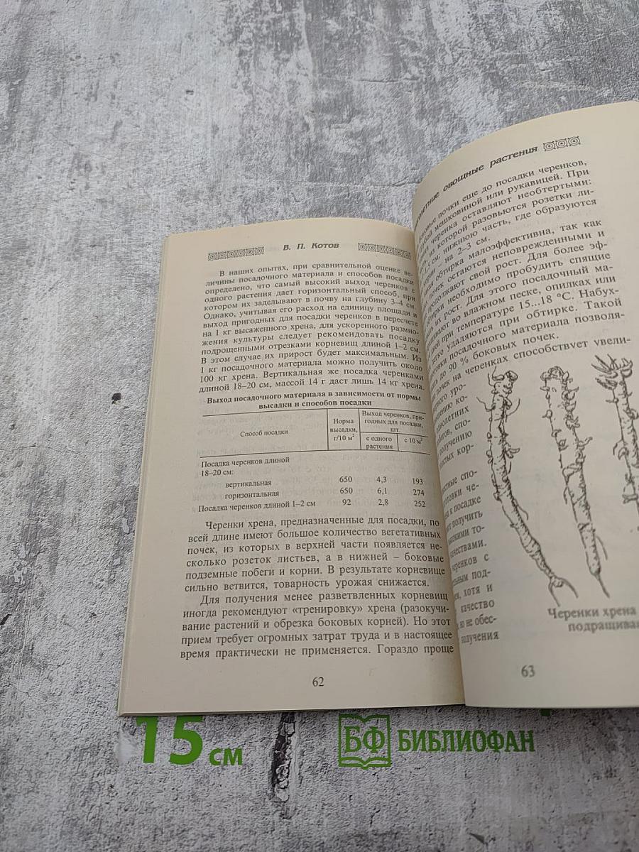 Многолетние овощные растения