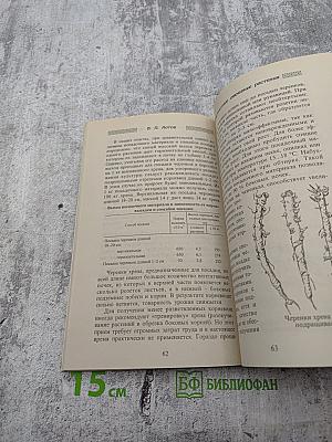 Многолетние овощные растения