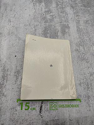 Лариса Рейснер: Очерк жизни и творчества