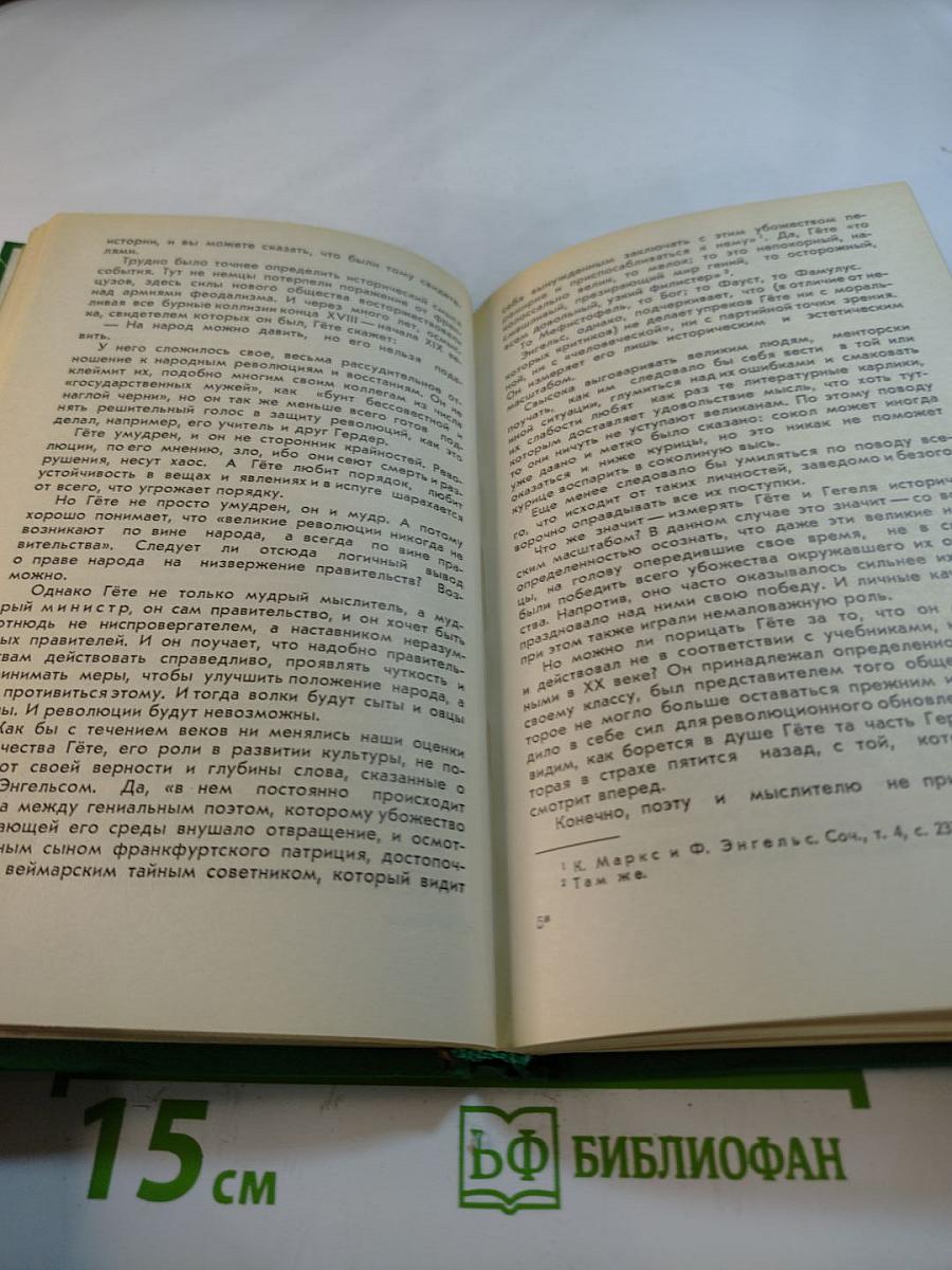 Сова Минервы