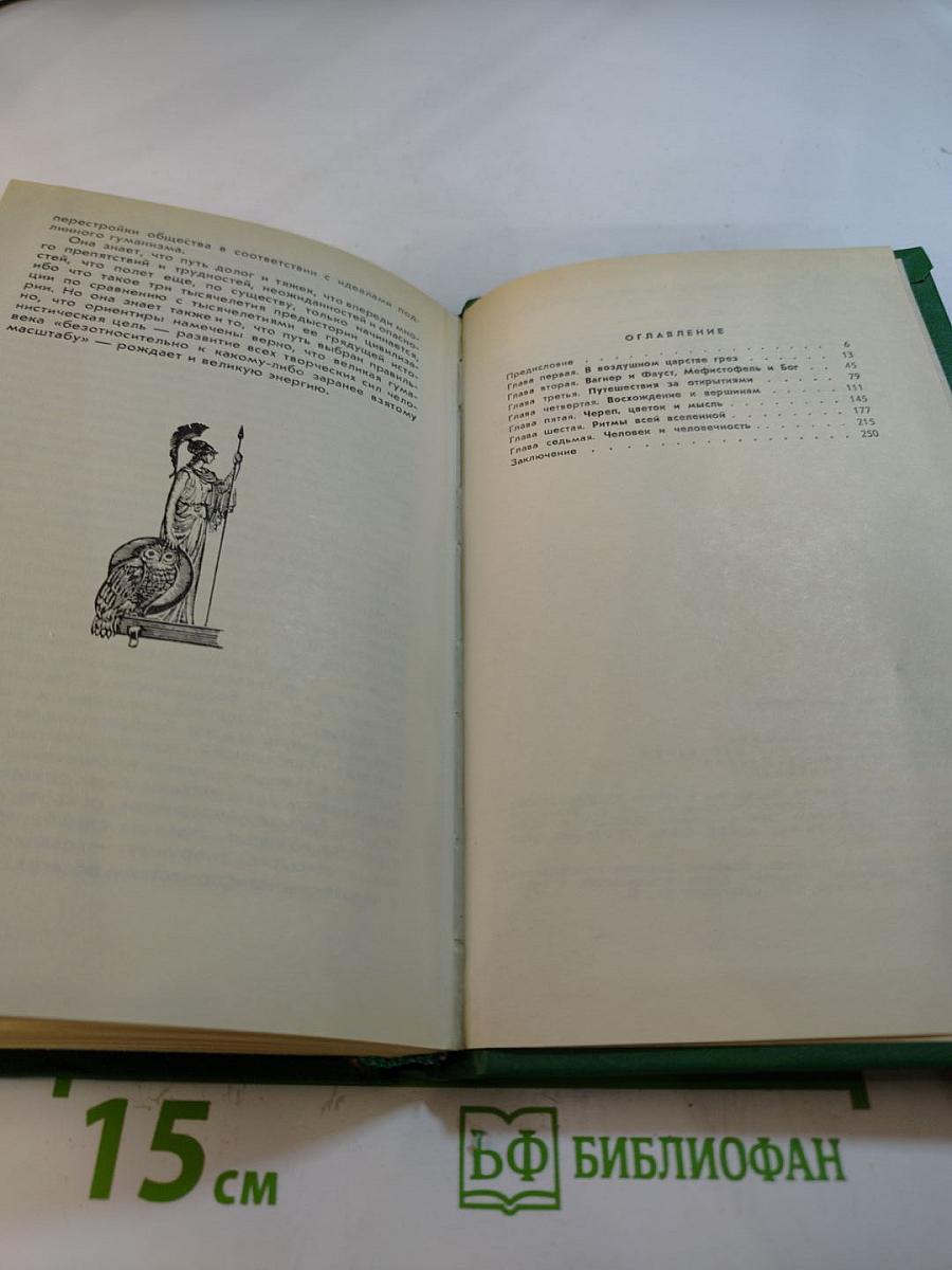 Сова Минервы