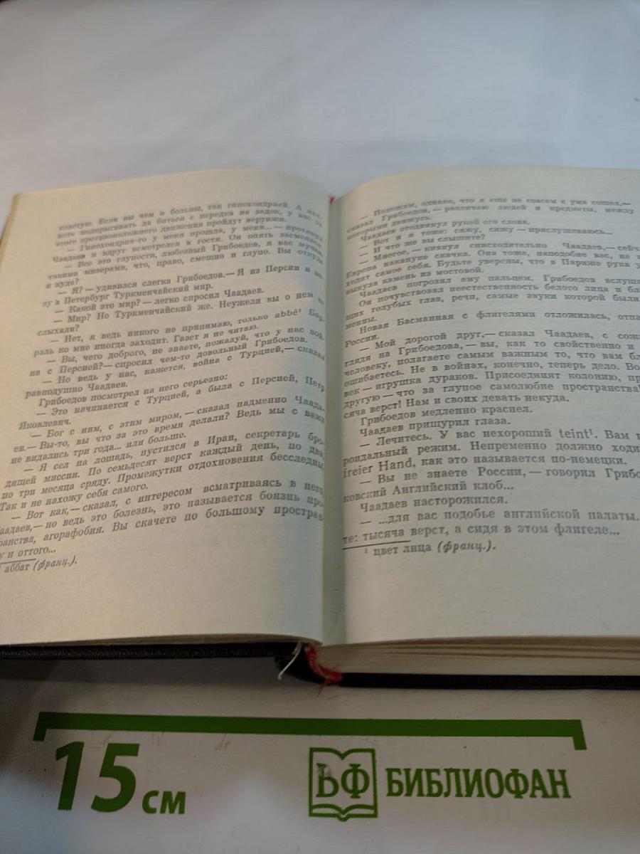 Смерть Вазир-Мухтара. Сюжет «Горя от ума»