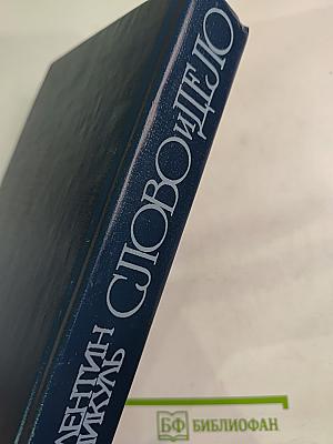 Слово и дело. Роман-хроника времен Анны Иоанновны. Книга 2: Мои любезные конфиденты
