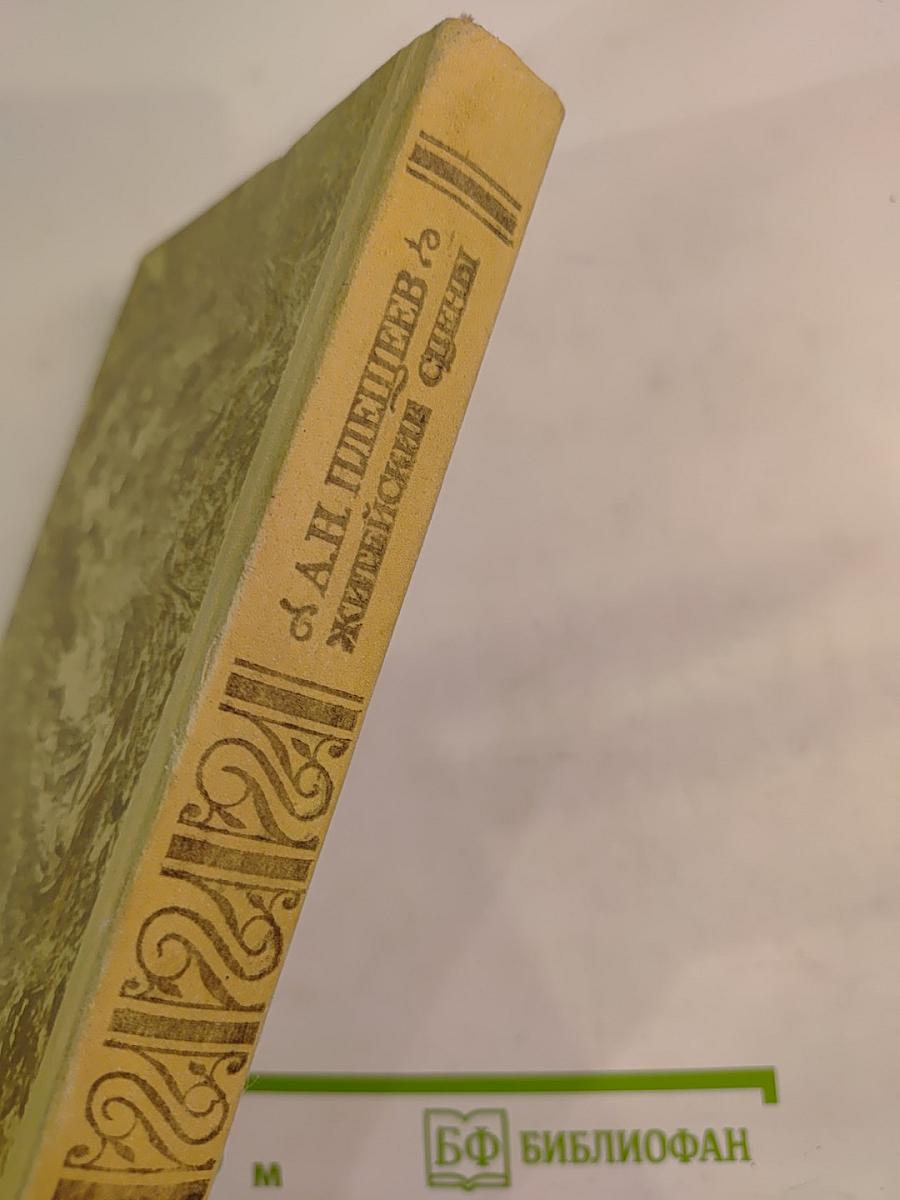 Житейские сцены