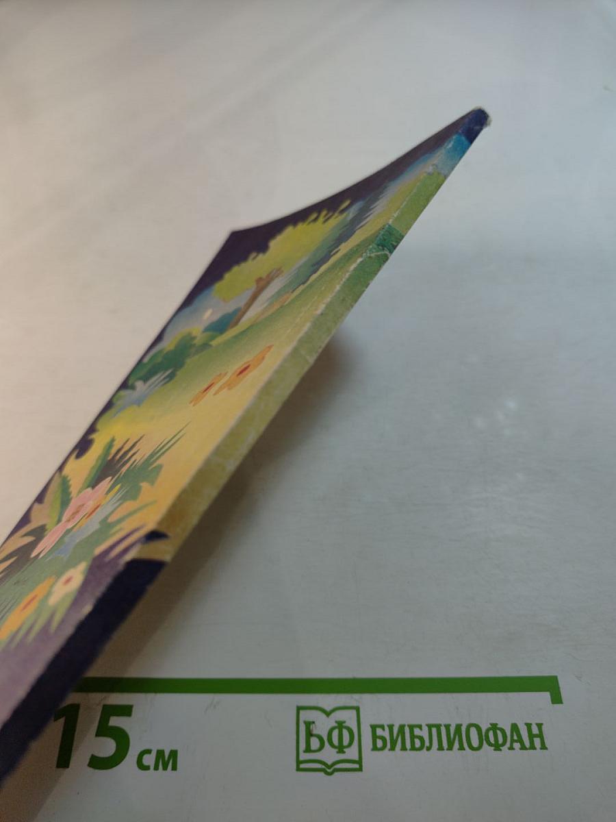 12 месяцев в саду и огороде