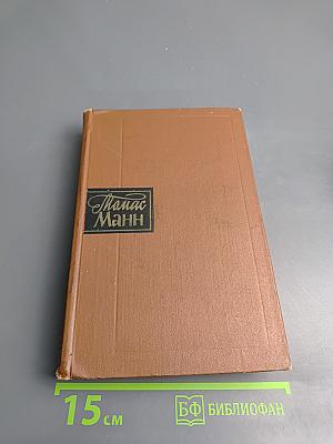 Волшебная гора. Роман