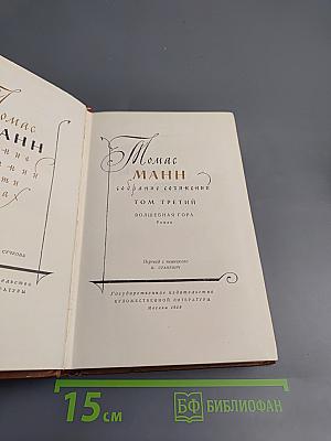 Волшебная гора. Роман