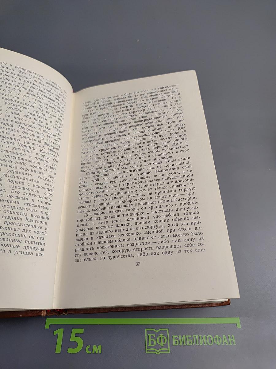 Волшебная гора. Роман