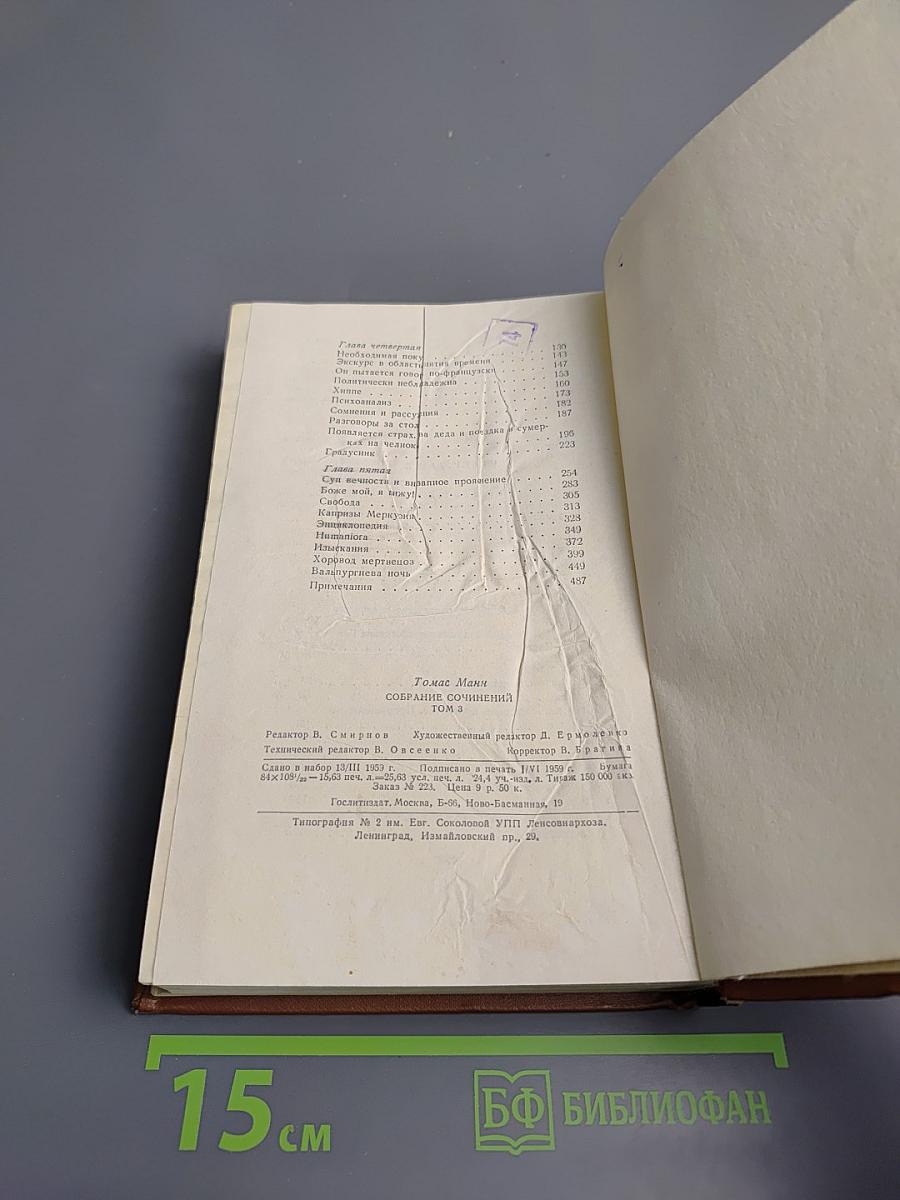 Волшебная гора. Роман