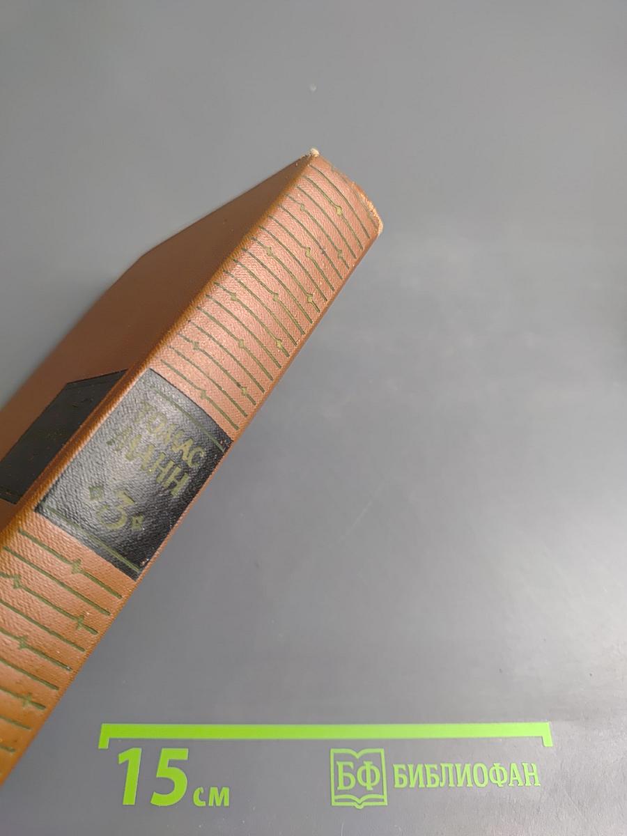 Волшебная гора. Роман