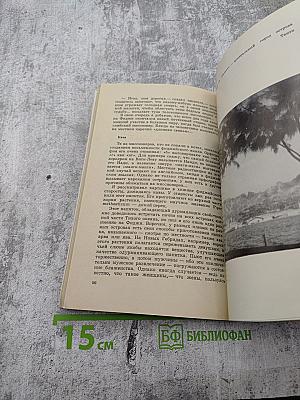 Луна над Таити