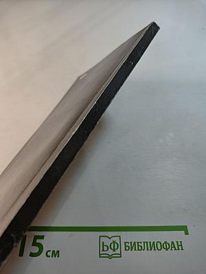 Своевременные мысли, или Пророки в своем Отечестве