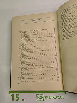 Возвращенная публицистика. Книга 1 (1900-1917)